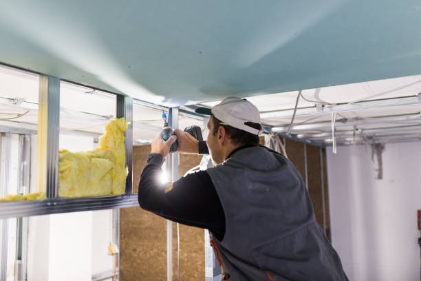 Best Insulation Installation Services in Montevideo, MN
